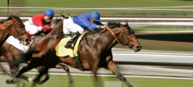 From Late Night to Medieval Rights: My SoCal Weekend of Jokes, Gardens, and a Daily Double